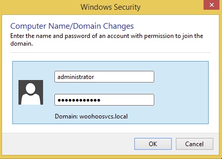 Domain Administrator Password