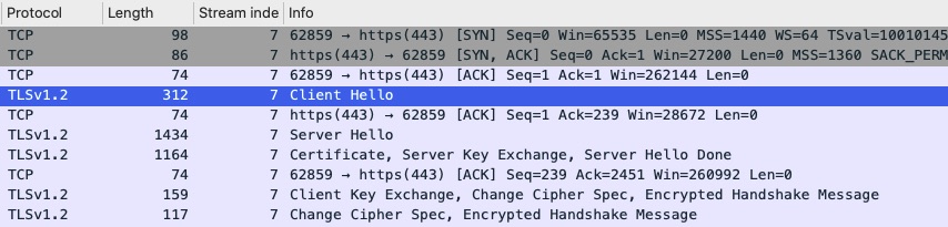 TLS Handshake from Packet Capture